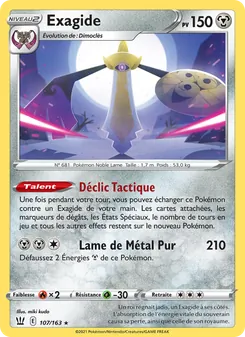 Exagide 107/163 Styles de combat