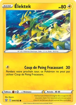 Élektek 44/163 Styles de combat