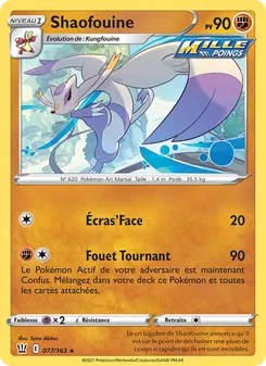 Shaofouine 77/163 Styles de combat