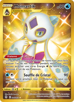 Momartik 226/203 Évolution Céleste