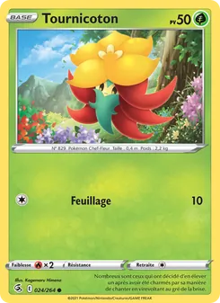 Tournicoton 24/264 Poing de Fusion
