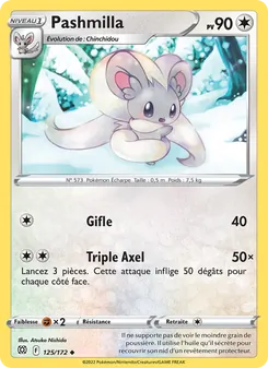 Pashmilla 125/172 Stars Étincelantes