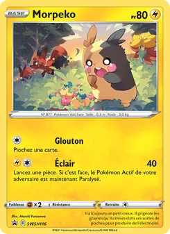 Morpeko SWSH116 Promo SWSH