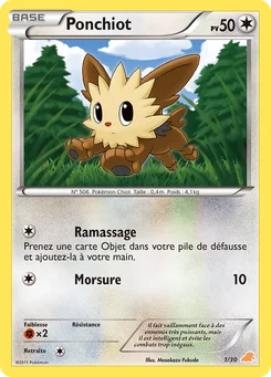 Ponchiot 1/30 BW Kit du dresseur (Minitaupe)