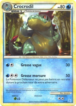 Crocrodil 13/30 HS Kit du dresseur (Léviator)