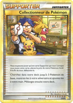 Collectionneur de Pokémon 22/30 HS Kit du dresseur (Raichu)