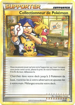 Collectionneur de Pokémon 27/30 HS Kit du dresseur (Raichu)