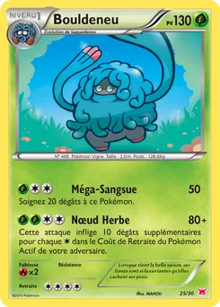Bouldeneu 25/30 XY Kit du dresseur (Latias)