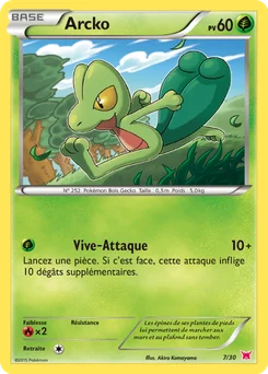 Arcko 7/30 XY Kit du dresseur (Latias)