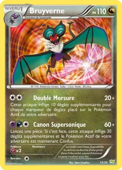 Bruyverne 13/30 XY Kit du dresseur (Bruyverne)