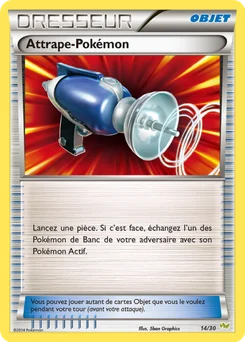 Attrape-Pokémon 14/30 XY Kit du dresseur (Bruyverne)