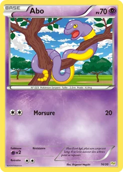 Abo 16/30 XY Kit du dresseur (Bruyverne)