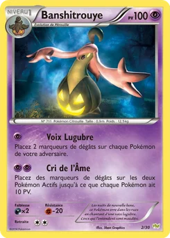Banshitrouye 2/30 XY Kit du dresseur (Bruyverne)