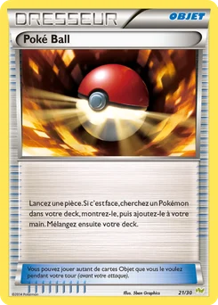 Poké Ball 21/30 XY Kit du dresseur (Bruyverne)