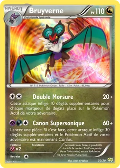 Bruyverne 30/30 XY Kit du dresseur (Bruyverne)