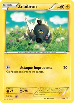 Zébibron 12/30 XY Kit du dresseur (Pikachu Libre)