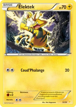 Élektek 15/30 XY Kit du dresseur (Pikachu Libre)