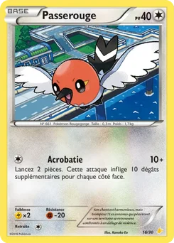 Passerouge 16/30 XY Kit du dresseur (Pikachu Libre)