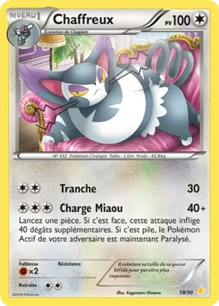 Chaffreux 19/30 XY Kit du dresseur (Pikachu Libre)