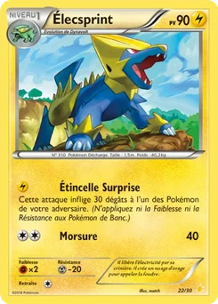 Élecsprint 22/30 XY Kit du dresseur (Pikachu Libre)