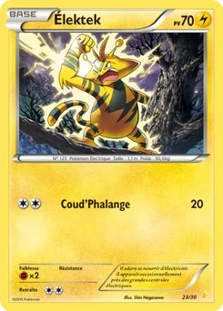 Élektek 23/30 XY Kit du dresseur (Pikachu Libre)