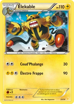 Élekable 25/30 XY Kit du dresseur (Pikachu Libre)