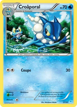 Croâporal 21/30 XY Kit du dresseur (Suicune)
