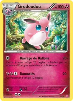 Grodoudou 14/30 XY Kit du dresseur (Grodoudou)