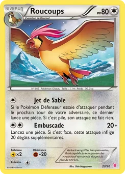 Roucoups 23/30 XY Kit du dresseur (Grodoudou)