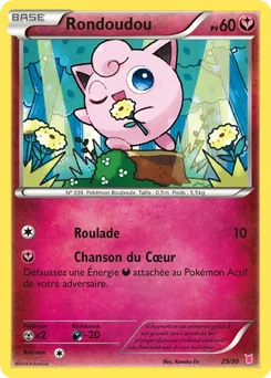 Rondoudou 25/30 XY Kit du dresseur (Grodoudou)