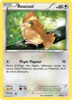 Roucool 29/30 XY Kit du dresseur (Grodoudou)