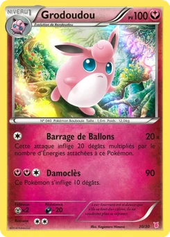 Grodoudou 30/30 XY Kit du dresseur (Grodoudou)