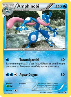 Amphinobi 14/39 Bienvenue à Kalos