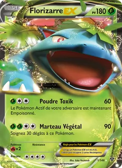 Florizarre EX 1/146 XY
