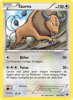 Tauros 100/146 XY