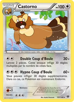 Castorno 107/146 XY