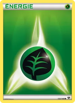 Énergie Plante 132/146 XY