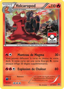 Volcaropod 21/146 XY