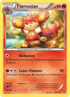 Flamoutan 23/146 XY