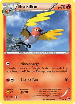 Braisillon 27/146 XY