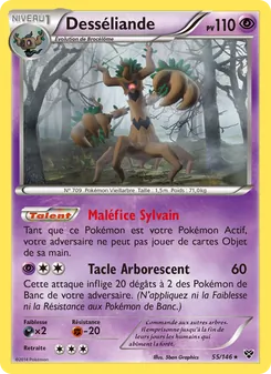 Desséliande 55/146 XY