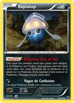 Sepiatop 74/146 XY