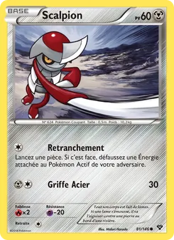 Scalpion 81/146 XY