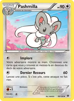 Pashmilla 88/124 Impact des Destins