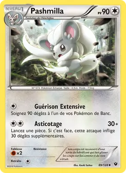 Pashmilla 89/124 Impact des Destins
