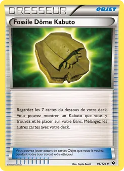 Fossile Dôme Kabuto 96/124 Impact des Destins
