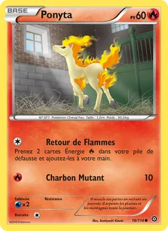 Ponyta 16/114 Offensive Vapeur