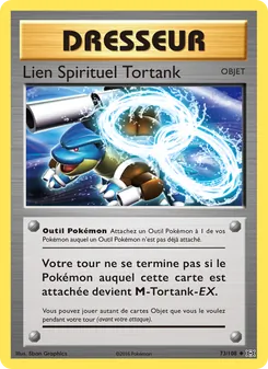 Lien Spirituel Tortank 73/108 Évolutions