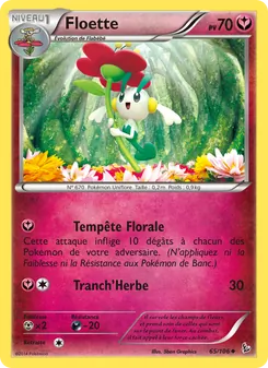 Floette 65/106 Étincelles