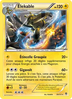 Élekable 30/111 Poings Furieux
